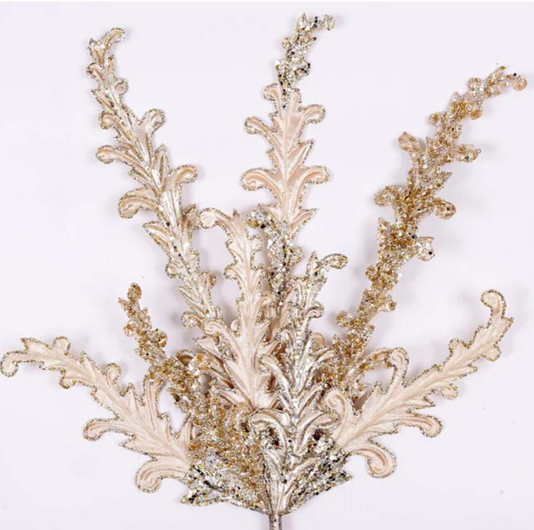 Champagne Acanthus Lace - 26 inch | Etsy (US)