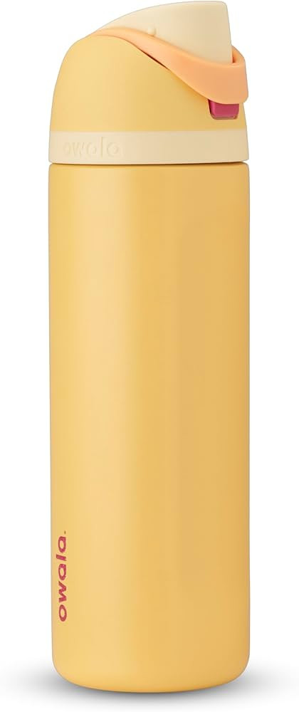 Owala Disney Princess FreeSip Insulated Stainless Steel Water Bottle with Straw for Sports and Tr... | Amazon (US)