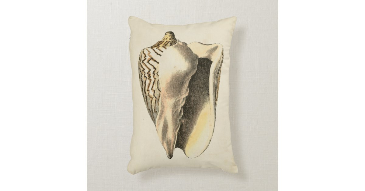 Vintage Sepia Conch Shell Decorative Pillow | Zazzle | Zazzle