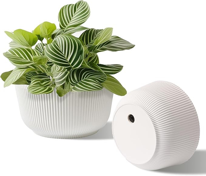 T4U 10 Inch Self Watering Pots, 2 Pack Large Plastic Plant Pots with Drainage Hole & Plug, White ... | Amazon (US)