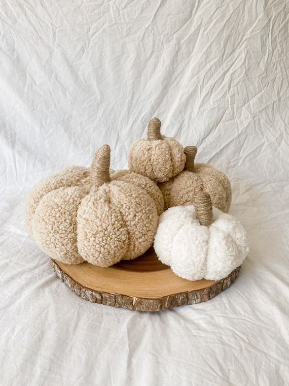 Cozy Sherpa Pumpkins | Faux Sherpa Fabric Pumpkin Pillow | Cute Home Fall Decor | Etsy (US)