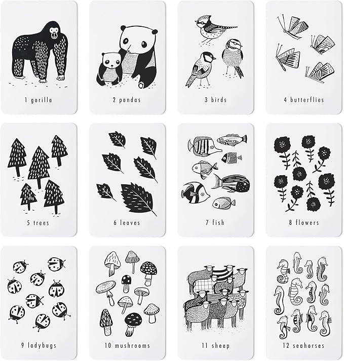Wee Gallery Nature Number Cards, Educational Number Flashcards for Kids, Baby, Toddler, Black and... | Amazon (US)