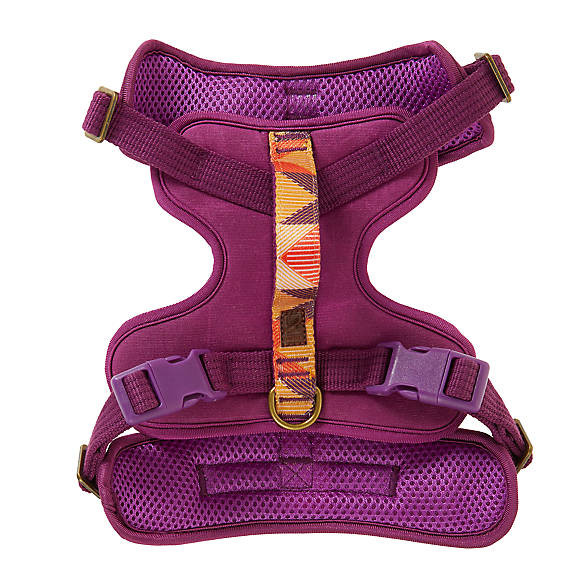 Top Paw® Explorer Collection Comfort Dog Harness | PetSmart