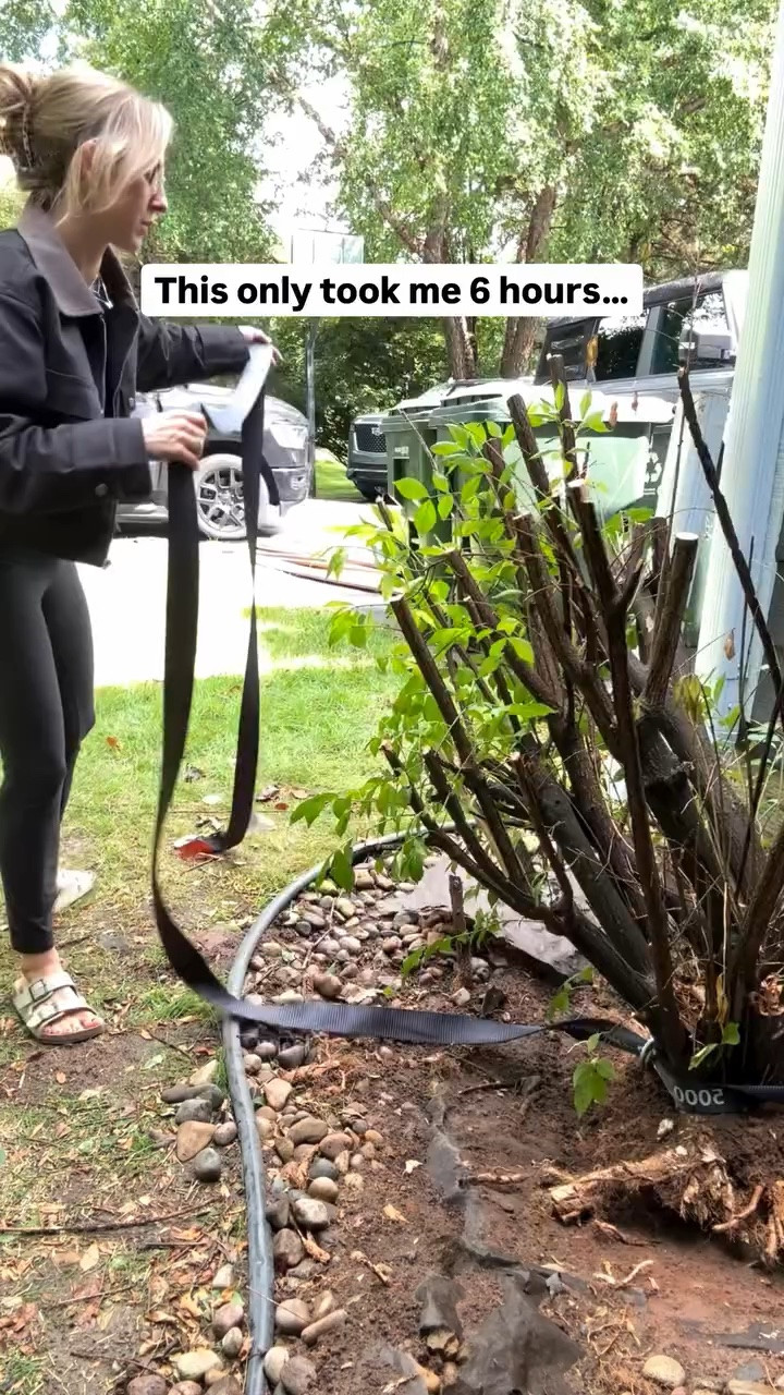 The bush has been marked safe 😆🏳️ and now I don’t have to stare at our ugly trash cans in the driveway… that what we can a WIN WIN.

#outdoordiy #diyhomeprojects