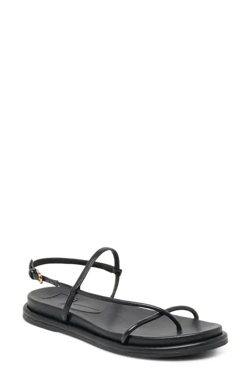 Dolce Vita Dom Strappy Sandal in Black Leather at Nordstrom, Size 6 | Nordstrom