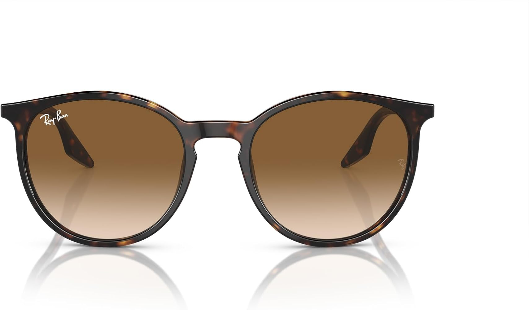 Ray-Ban RB2204 Round Sunglasses for Men for Women | Amazon (US)