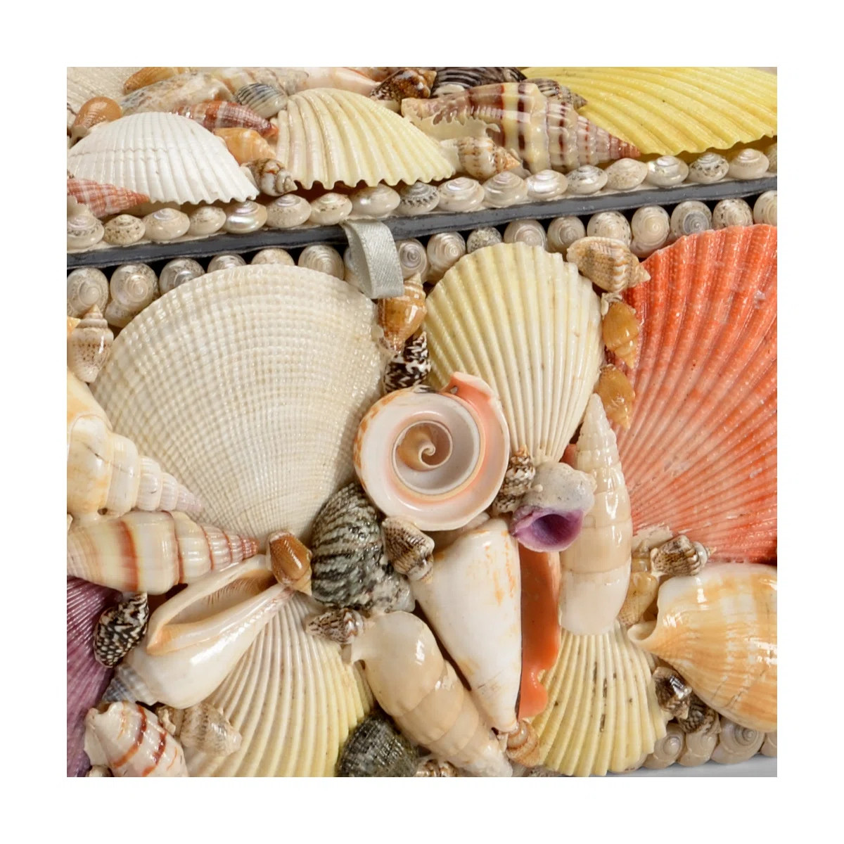 3 Piece Shell Decorative Box Set | Wayfair North America