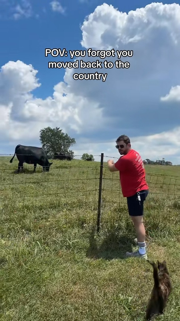 Old video but on our new property!! Excited for these neighbors!

#LTKActive #LTKFamily #LTKU