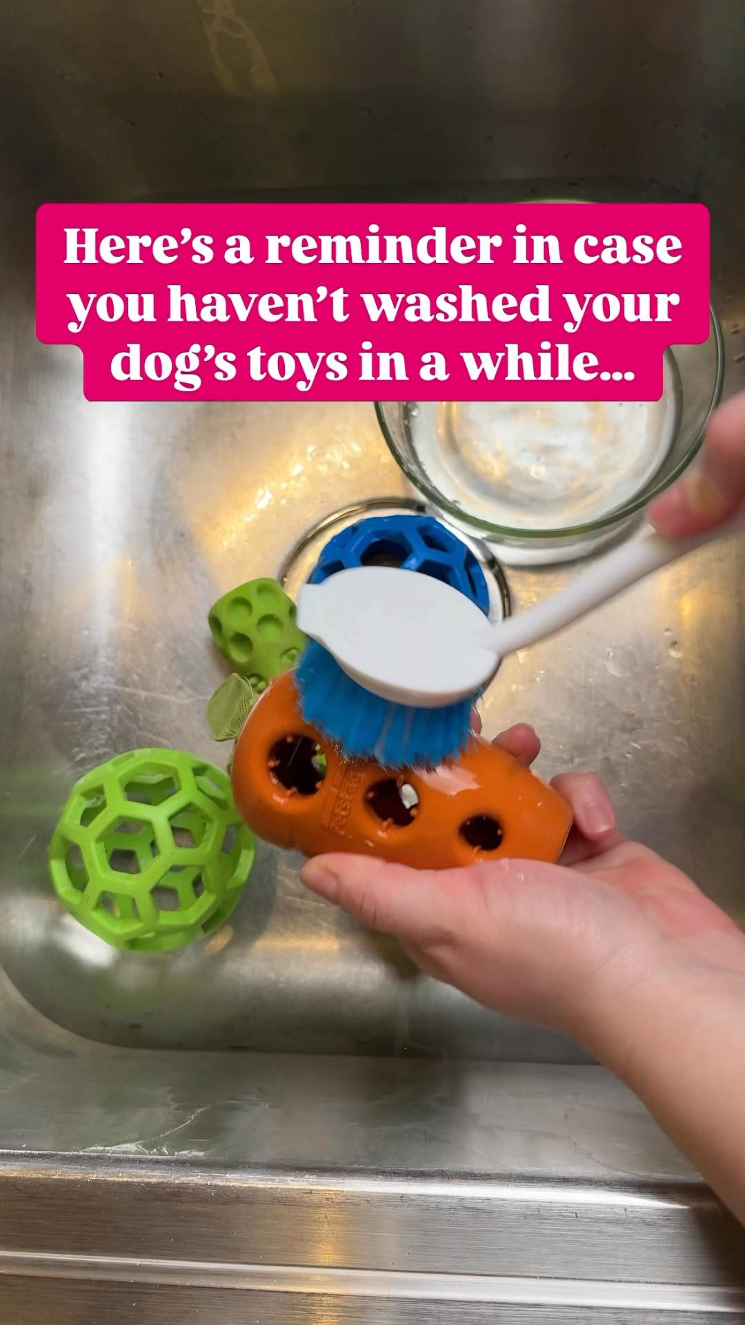 How to clean your dog’s toys ↴
:
1️⃣ Don’t use cleaning products you wouldn’t want your dog to eat! Remember, those toys go straight in their mouths.
:
2️⃣ For hard toys, scrub with white vinegar or a non-toxic dish soap, then rinse thoroughly.
:
3️⃣ Avoid the dishwasher for silicone toys and lick mats—they’ll soak up soap and taste gross!
:
4️⃣ Soft toys? Toss them in the washing machine, BUT FIRST, run a cleaning cycle to eliminate any detergent residue inside your washer. Then run a load of just dog toys without regular detergent or fabric softener. Instead, use baking soda or vinegar (not both!) or opt for a dog-safe laundry soap. Don’t forget to let them dry completely to prevent mold! :
5️⃣ Wash hard toys weekly and soft toys twice a month for a happy, healthy pup!
: ✨Follow @superdogmoms for more dog mom tips to make your life easier!
:
:
:
: : :
: :
#dogmomtips #dogtips #dogtoys #dogsofinstagram #dogmom #dogmomlife #dogmomsofinstagram #dogmomproblems #ilovemydog #dogcleaning #dogowner

#LTKPets