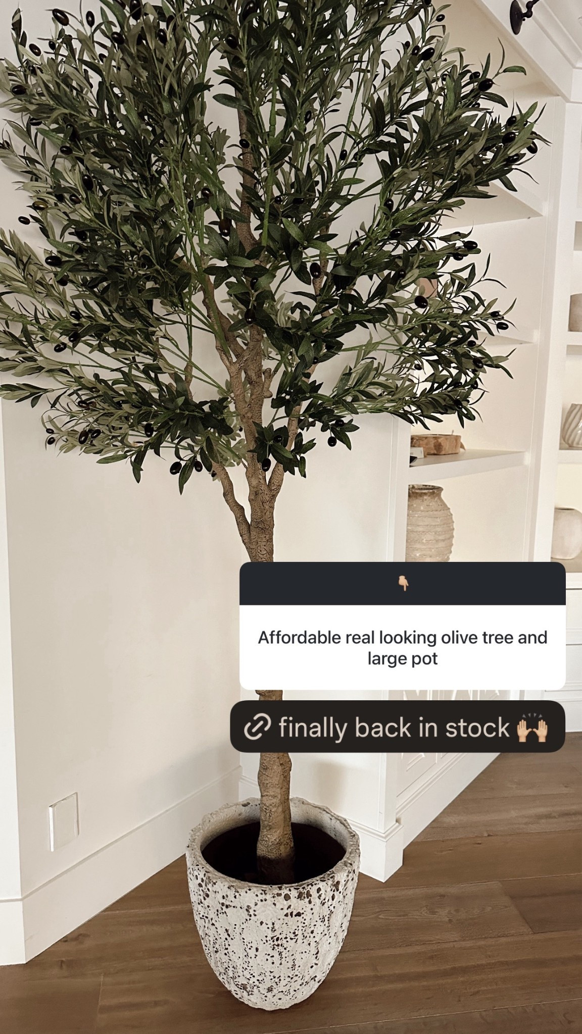 So happy with this olive tree from Amazon! Also linking one from Target that I love and own #stylinbyaylin #aylin #home #amazonfind

#LTKHome
