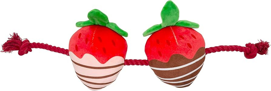 Pearhead Pet You're Berry Cute Plush and Rope Dog Toy, Valentine's Day Festive Squeaker Dog Toy, ... | Amazon (US)