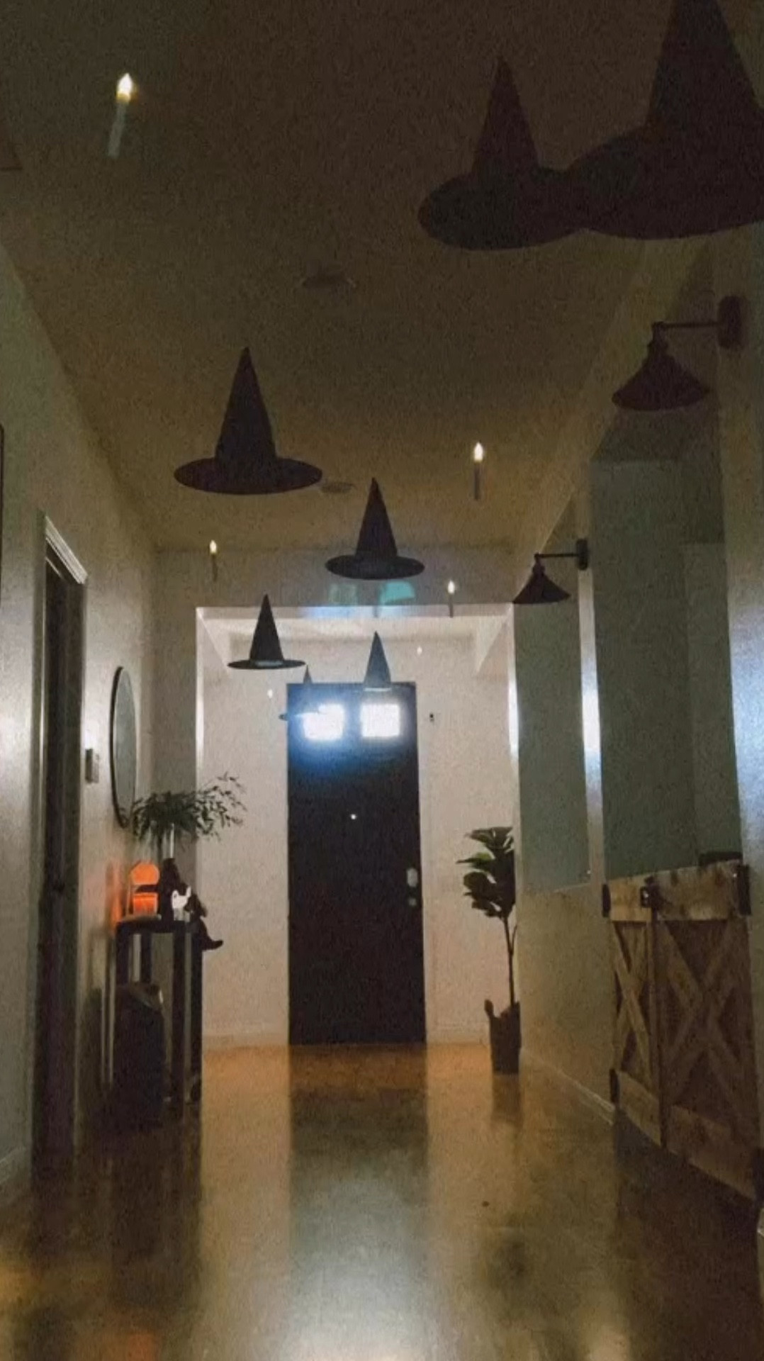 Lumos 🧙‍♀️🪄