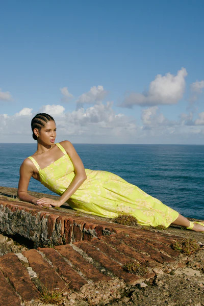 DIXON DRESS | Marie Oliver