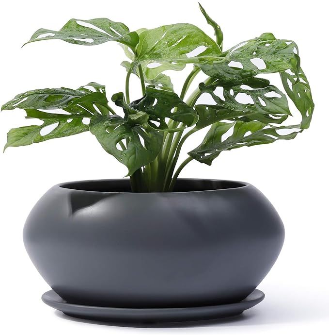 POTEY Ceramic Plant Flower Pots - 6.9 Inch Planter Bonsai Medium Container Large Space - Drain Ho... | Amazon (US)
