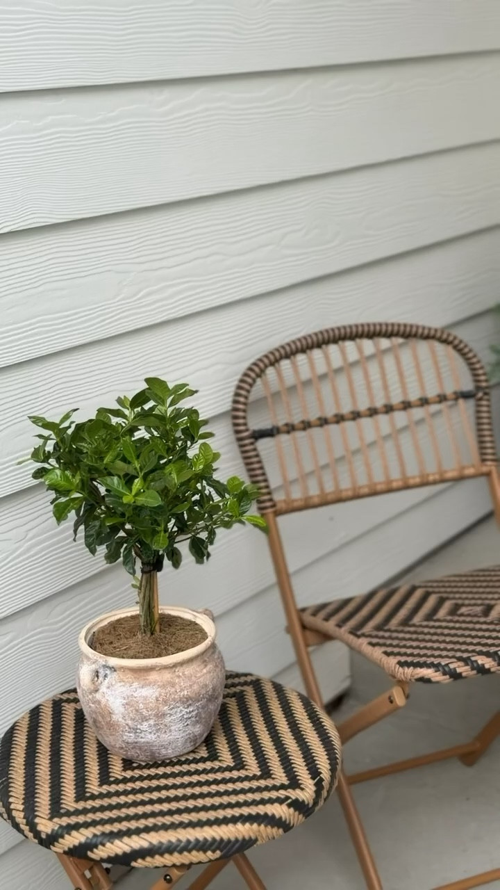 The sweetest little gardenia and textured pot! The perfect addition to my bistro set on my front porch! 

#LTKHome