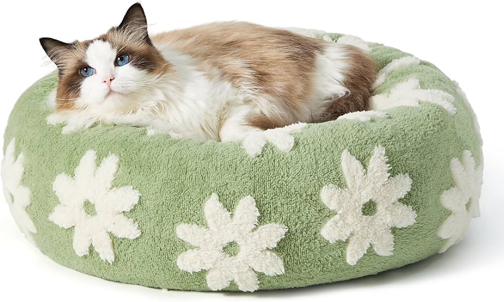 Lesure Cat Beds for Indoor Cats - Round Cat Bed Donut Small Dog Bed Calming Pet Beds, Cute Modern... | Amazon (US)