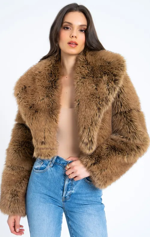 Miss Circle Yadavi Plush Vegan Faux Fur Cropped Jacket in Brown at Nordstrom, Size Large | Nordstrom