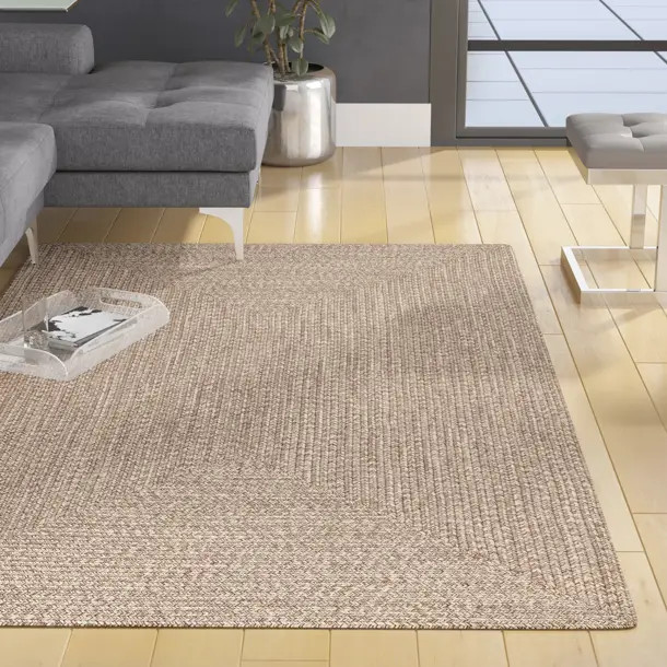 Owensby Handmade Braided Tan Indoor/Outdoor Rug | Wayfair North America