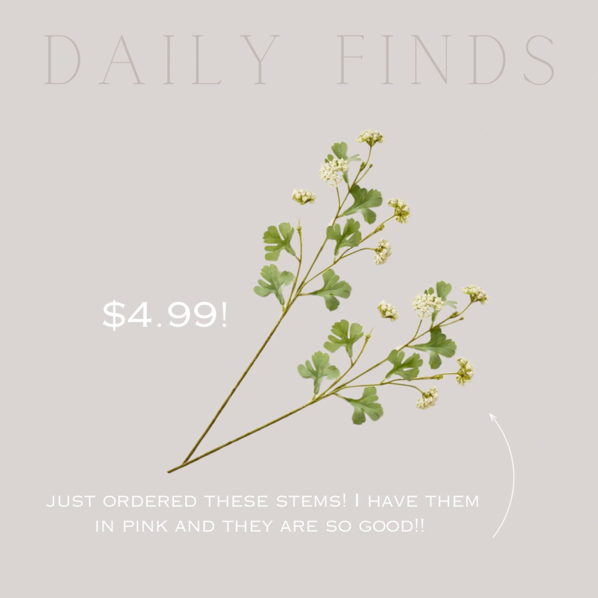 Just ordered these stems. I have them in pink and they are so good. Only $4.99!!!! Run these won’t last long! 


Spring stems, floral stem, spring decor, home decor, neutral decor 


#hearthandhand #target #targethomefinds 

#LTKHome #LTKFindsUnder50 #LTKSeasonal