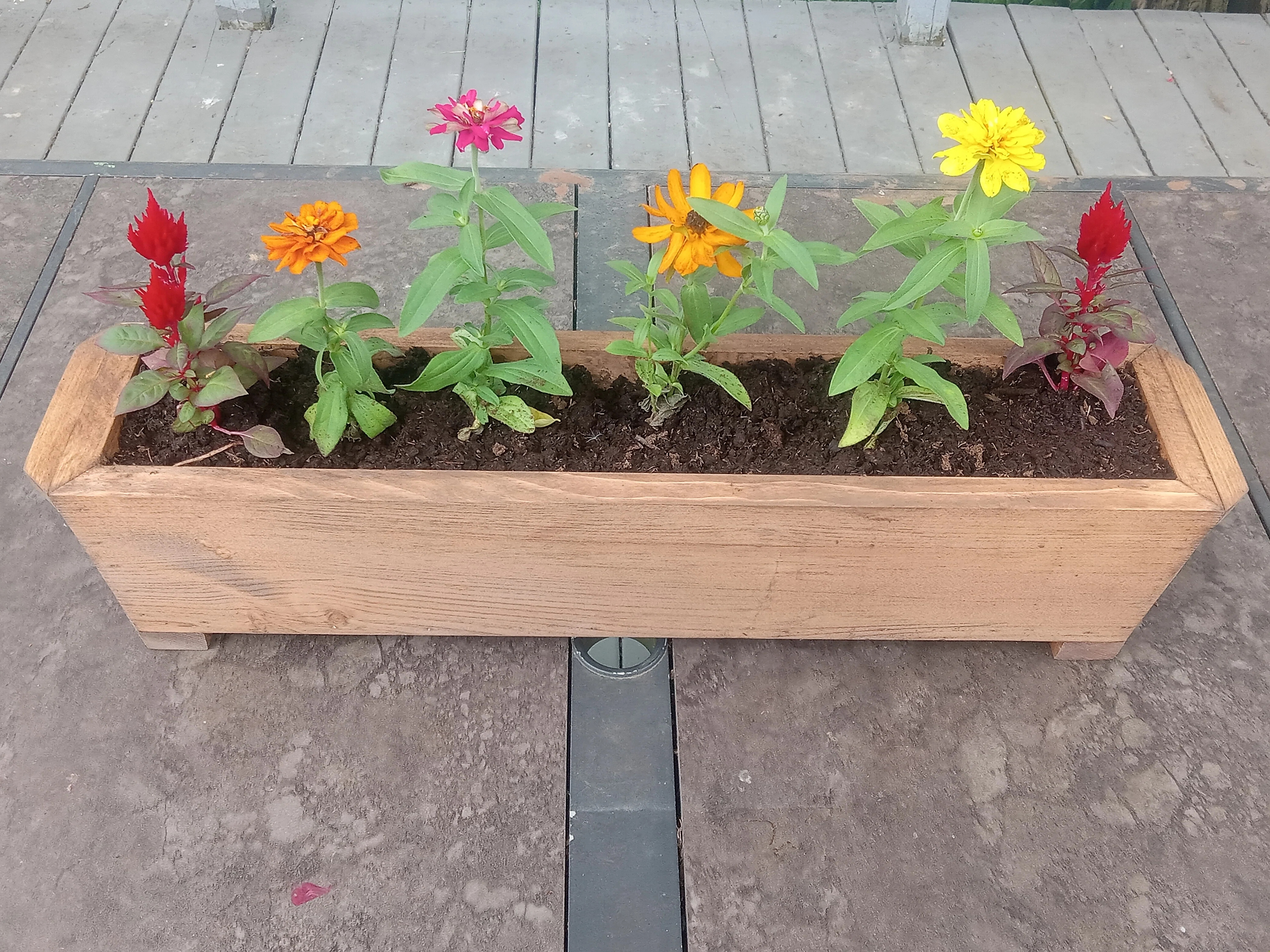 Anacelia Handmade Wood Planter Box | Wayfair North America