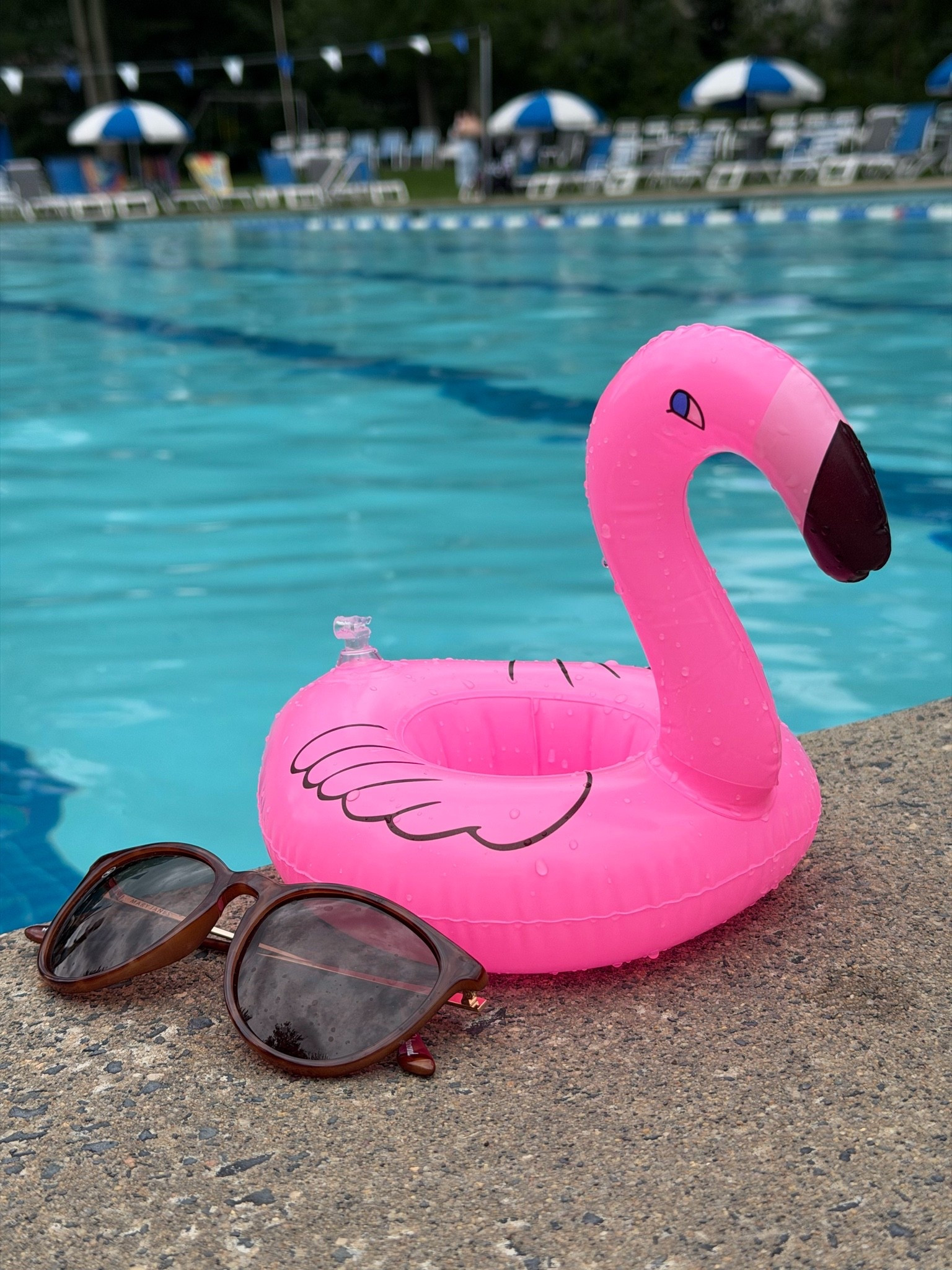 Almost empty pool for the win. 😎 @knockaround #ad

#LTKdayinmylife #LTKOver40 #LTKActive