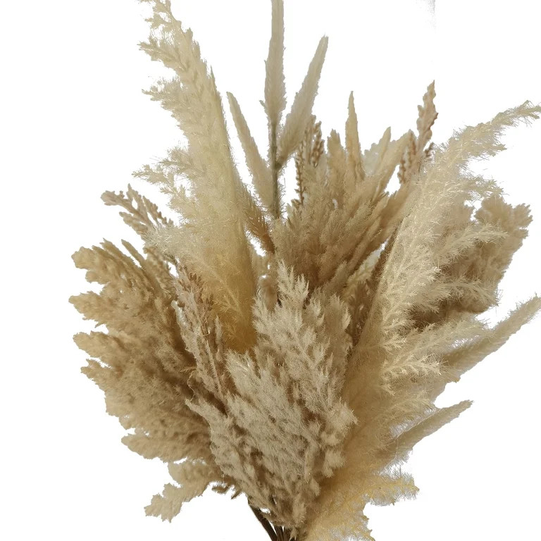 Mainstays 22 inch Cream Feature Pampas Mixed Bouquet | Walmart (US)