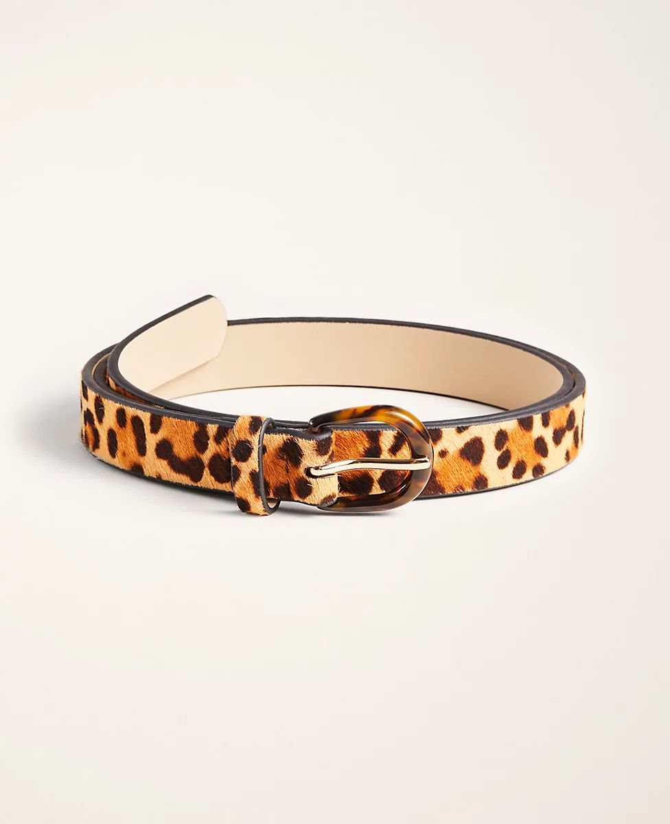 Cheetah Print Haircalf Belt | Ann Taylor | Ann Taylor (US)