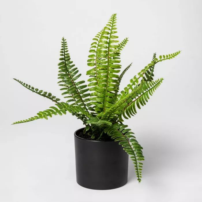 12" x 11" Artificial Fern Arrangement in Pot Green/Black - Project 62™ | Target