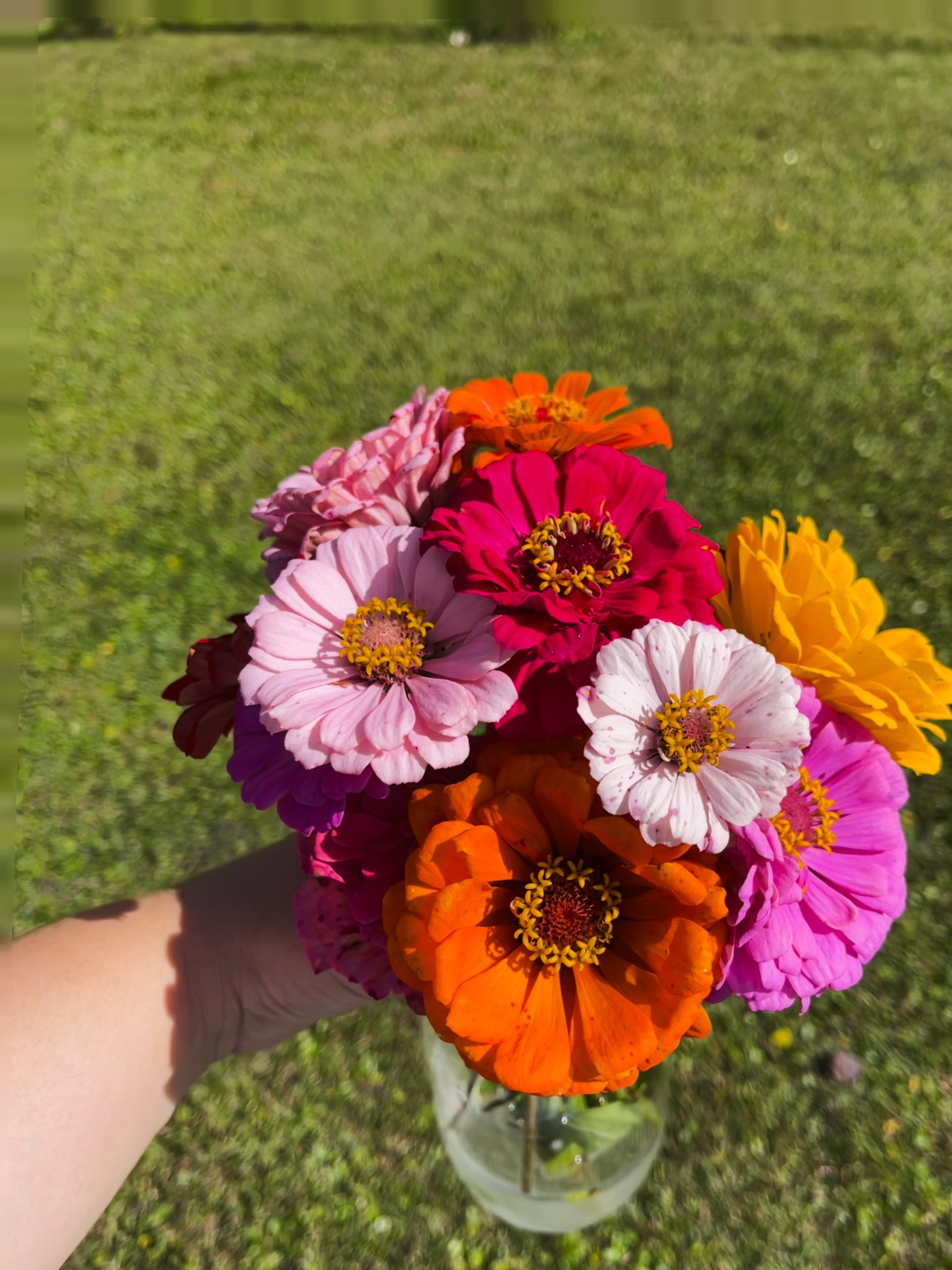 Ready for fall weather it’s still hot down here in South Carolina but at least I got to pick these pretty wild flowers! 

#LTKSeasonal #LTKHoliday #LTKPlusSize