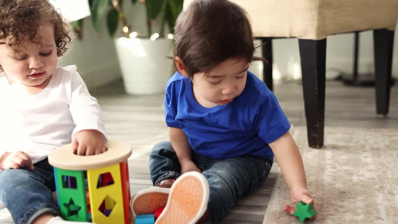 Melissa & Doug Match and Roll Shape Sorter - Classic Wooden Toy | Walmart (US)