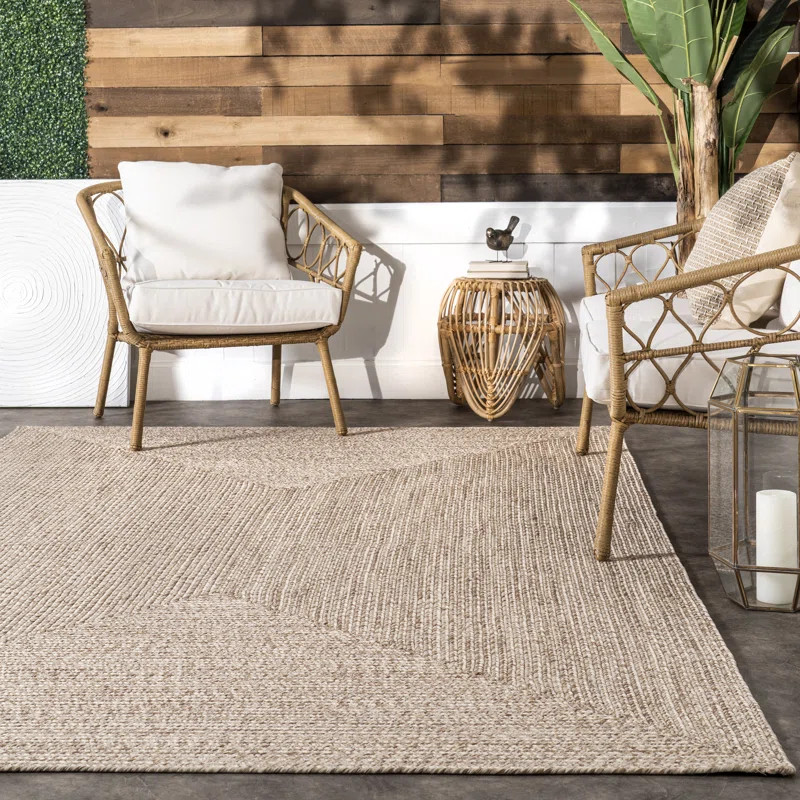 Owensby Handmade Braided Tan Indoor/Outdoor Rug | Wayfair North America