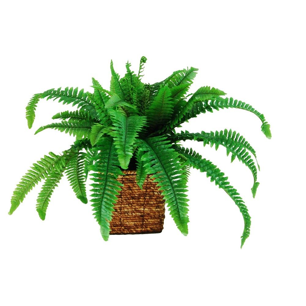 Artificial Fern Plant - Green - 20in - LCG Florals | Target