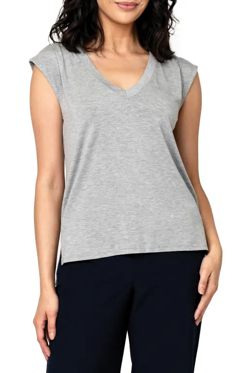 GIBSONLOOK The Favorite Luxe V-Neck T-Shirt in Heather Grey at Nordstrom, Size Xx-Small | Nordstrom