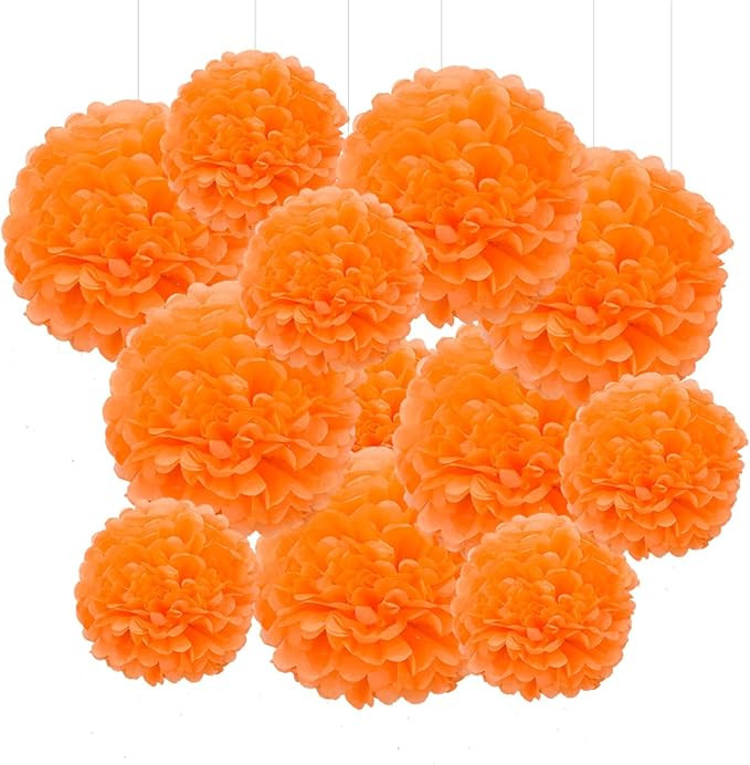 GAKA Orange Tissue Paper Pom Poms Decoration,10 inch and 12 inch,12 Piece Set Ceiling Wall Hangin... | Amazon (US)