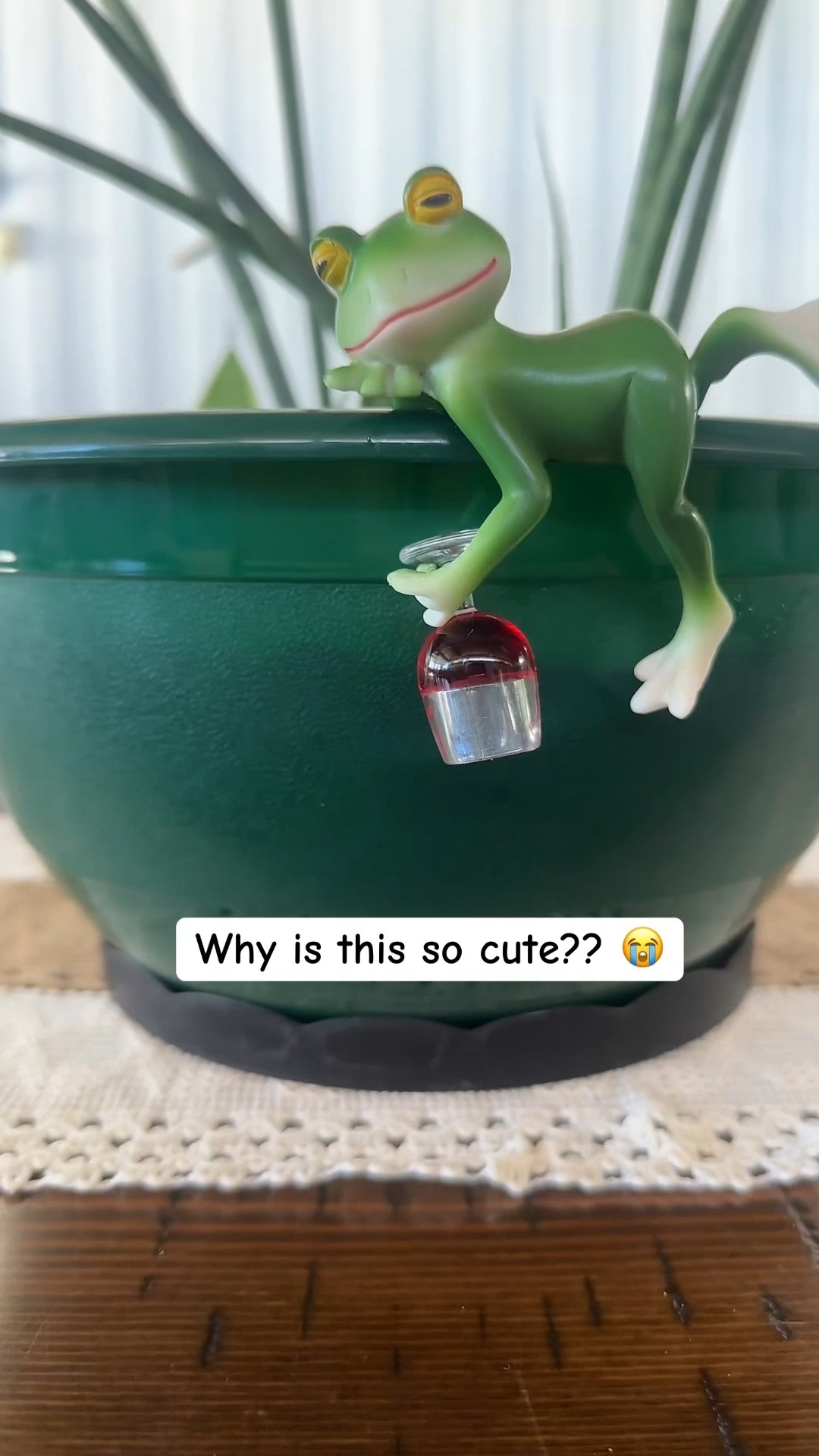I didn’t know I needed this until I saw it 😂🐸

It just makes everything feel a little more fun and alive ✨