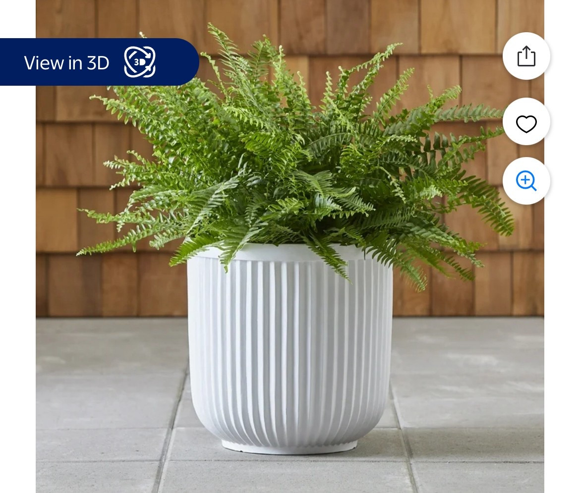 Indoor/Outdoor Pot

#LTKStyleTip #LTKU #LTKHome