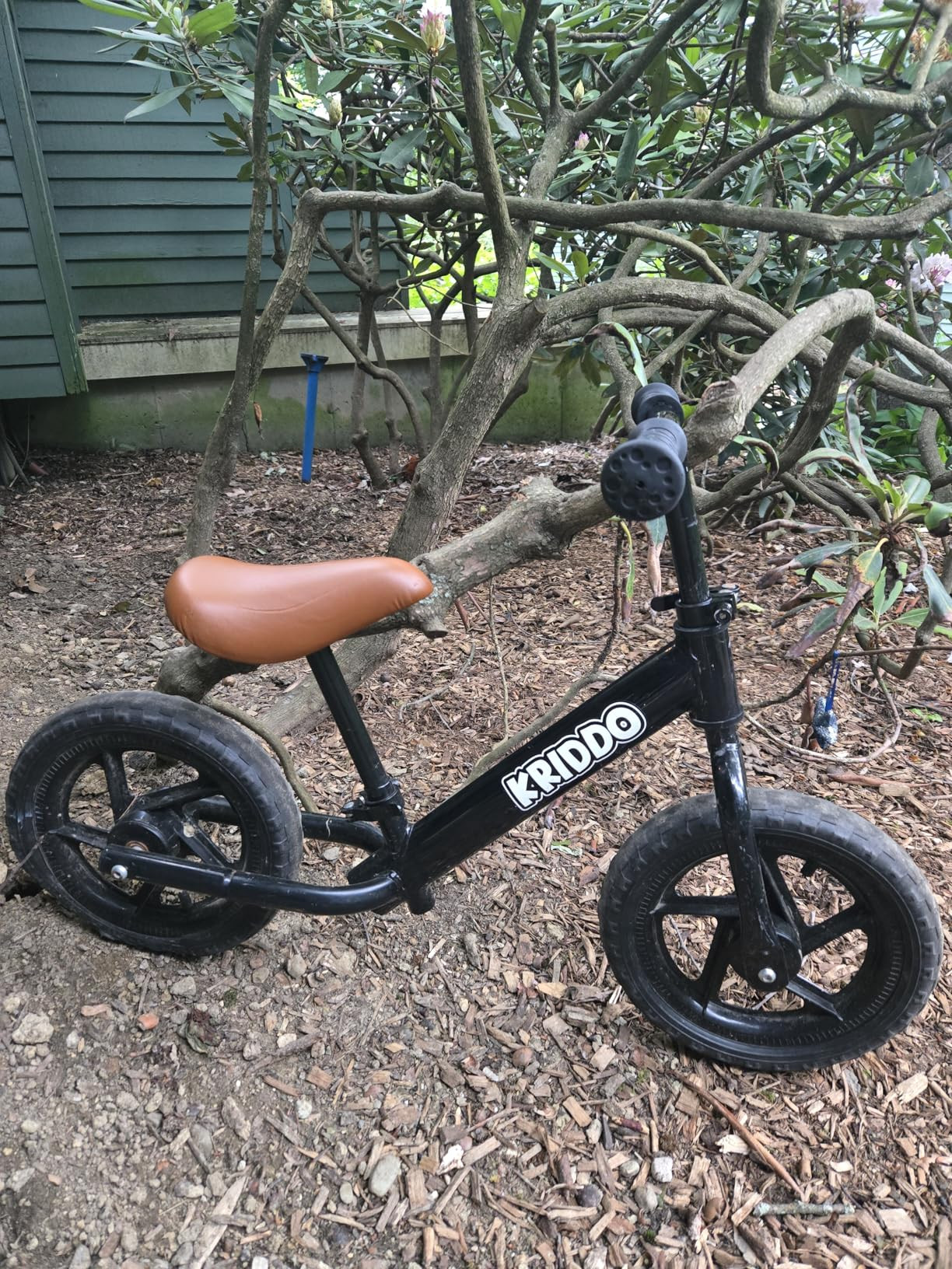 KRIDDO Toddler Balance Bike 2 Year Old, Age 24 Months to 5 Years Old, 12 Inch Push Bicycle with C... | Amazon (US)