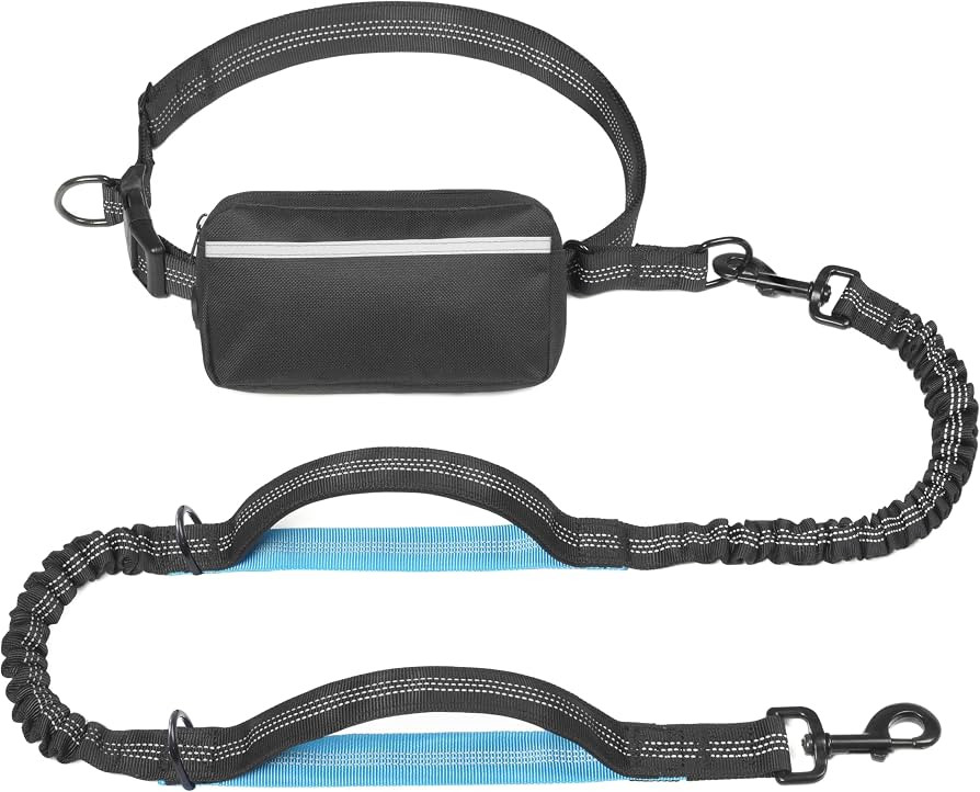 iYoShop Hands Free Dog Leash with Zipper Pouch, Dual Padded Handles and Durable Bungee for Walkin... | Amazon (US)