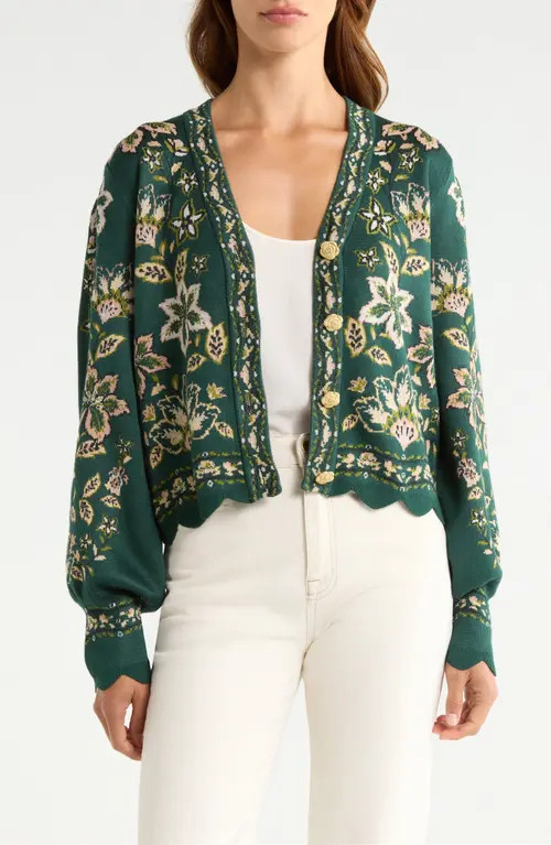 FARM Rio Garden Delight Button-Up Cardigan in Garden Delight Dark at Nordstrom, Size X-Large | Nordstrom