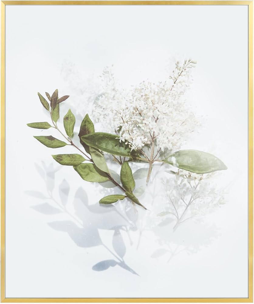 Golden State Art, 20x24 Aluminum Picture Frame, Gold Metal Thin Poster Frames for 20 x 24 inch Ph... | Amazon (US)