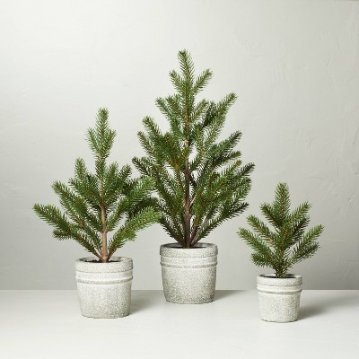 Faux Pine Tree in Textured Cement Pot - Hearth & Hand™ with Magnolia | Target