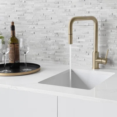 Modern Faucet Stylish Rivo One-Handle Pull Down Kitchen Faucet | Wayfair North America