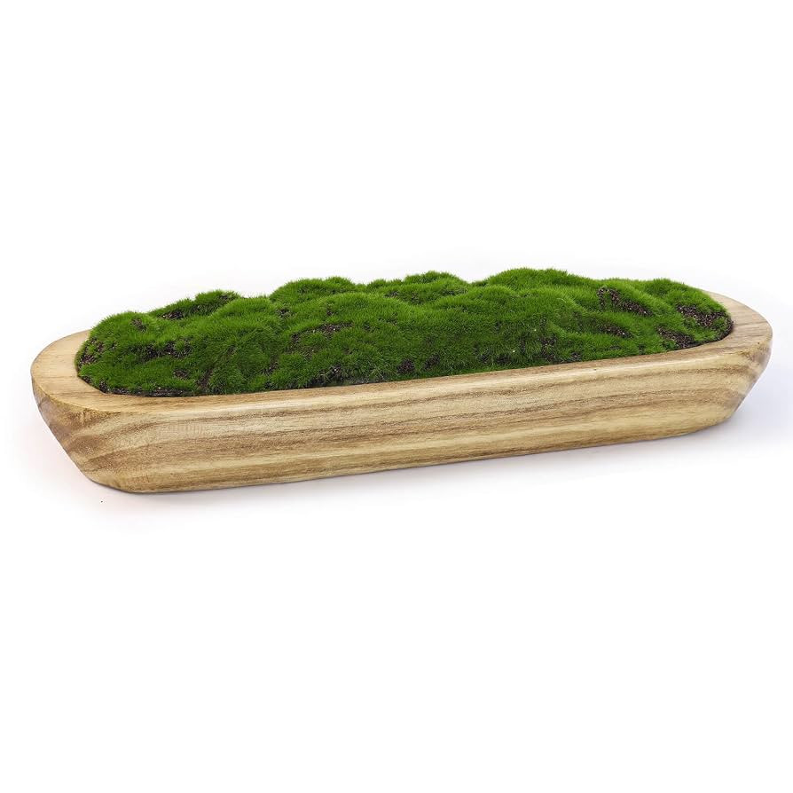 NAHARO Moss Wood Bowl, Artificial Moss Natural Bowl Centerpiece for Wedding Table, Home Decoratio... | Amazon (US)