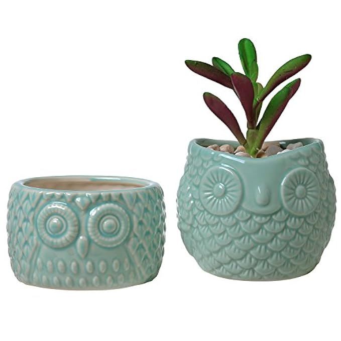Set of 2 Mid-Century-Style Ceramic Owl Mini Succulent Planters, Flower & Cactus Pots, Light Blue | Amazon (US)