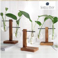 Glass Vase Plant Propagation Station With Wooden Stand, Propagation Vintage Style Stand Vase Hydropo | Etsy (US)