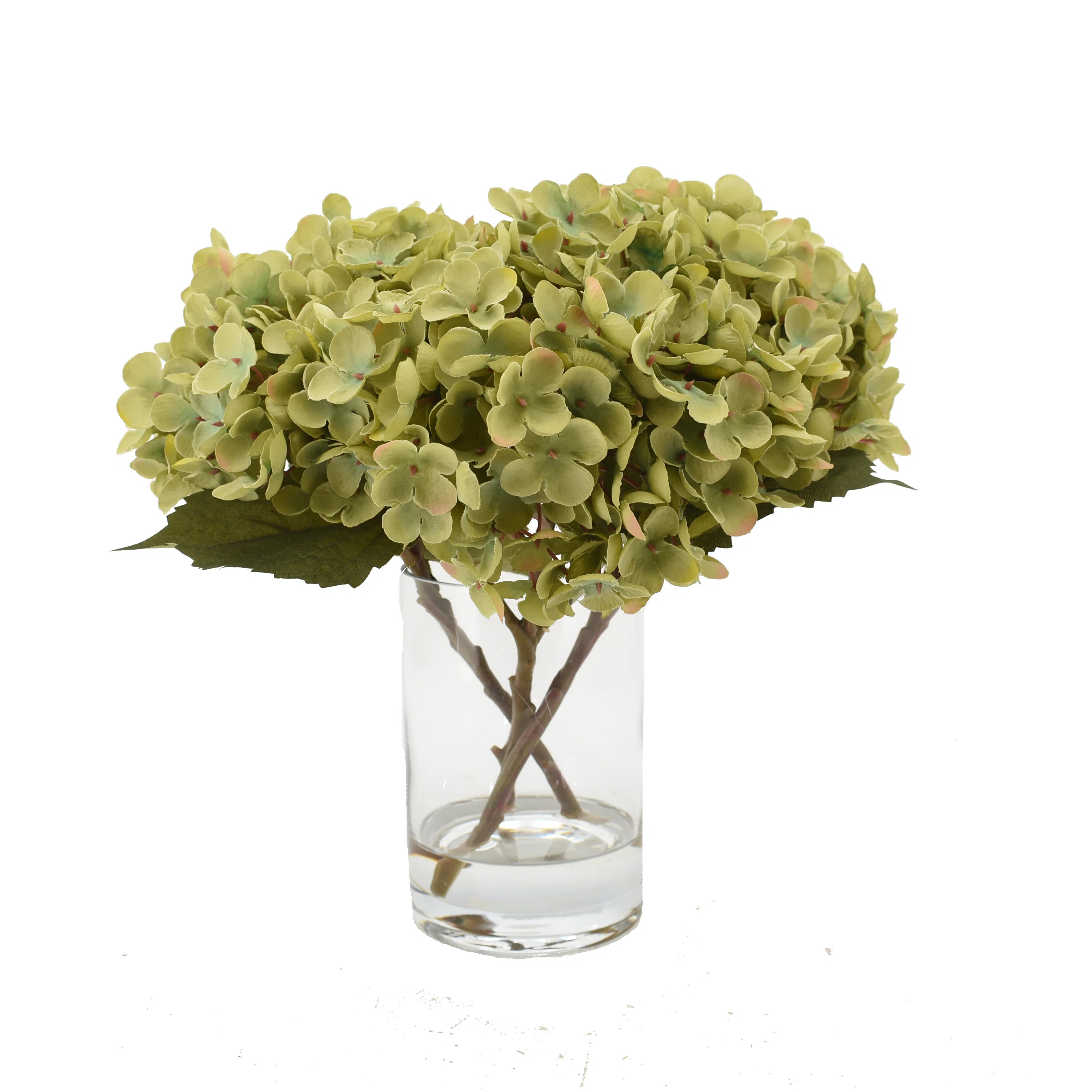 Hydrangea Floral Arrangement in Glass Vase in , Green | Birch Lane