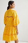 Tallulah Eyelet Mini Dress | Anthropologie (US)