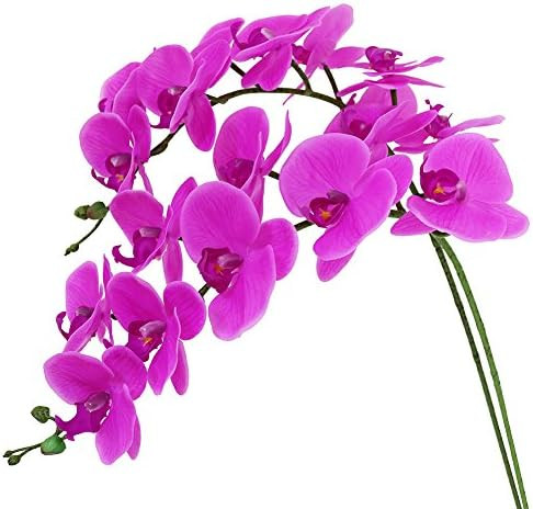 Htmeing 38 Inch Artificial Phalaenopsis Flowers Branches Real Touch (Not Silk) Orchids Flowers fo... | Amazon (US)