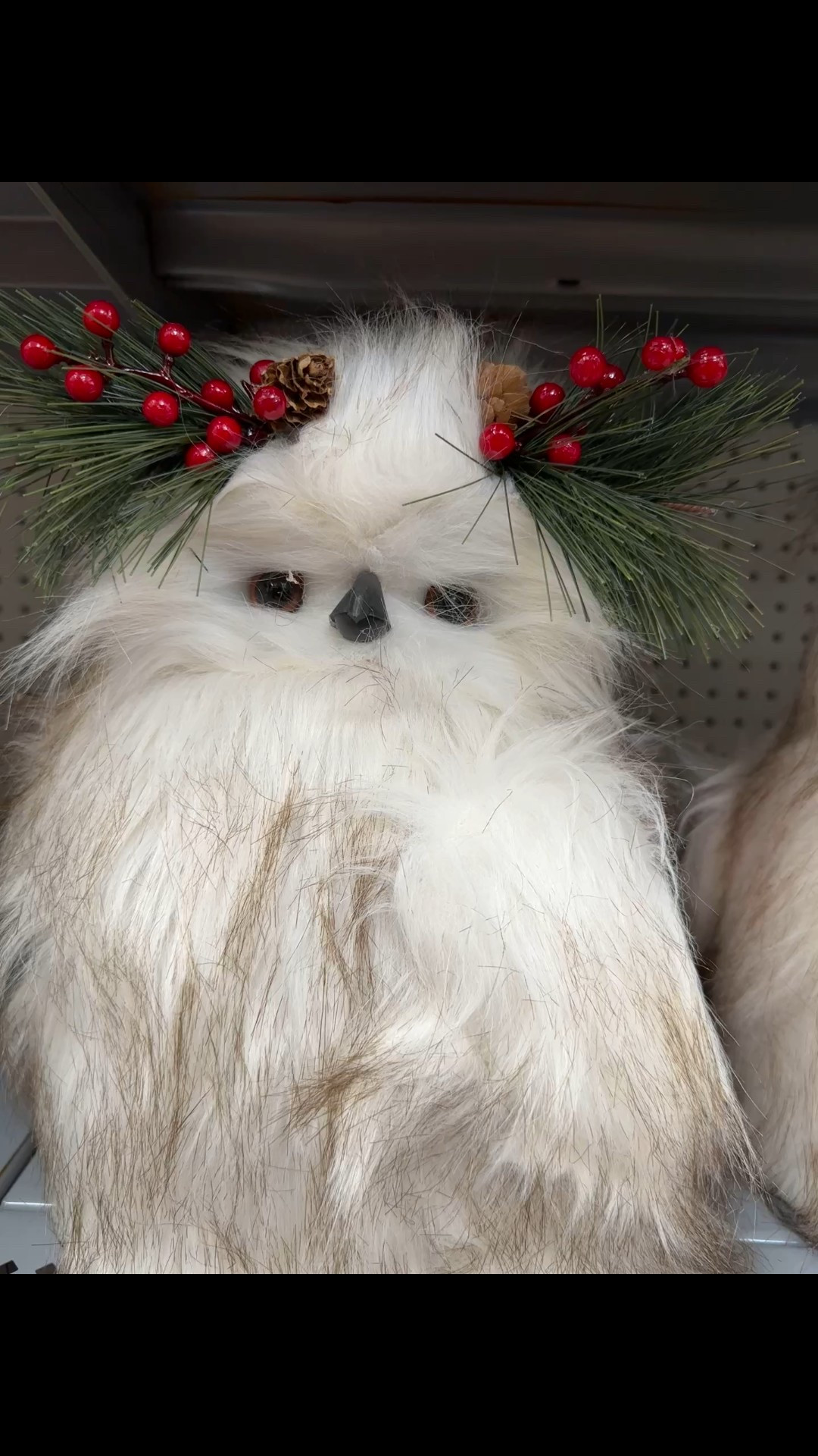 These Christmas owls are so pretty and well made. 

I love the berries on the heads and how fluffy they are- Rylee loved them too! 

#christmas #christmasdecor #decorations

#LTKHome #LTKSeasonal #LTKFindsUnder50