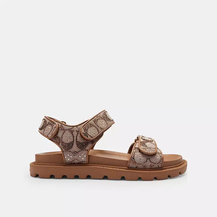 Brynn Sandal | Coach (US)